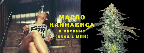 стафф Каменка
