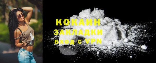 стафф Каменка