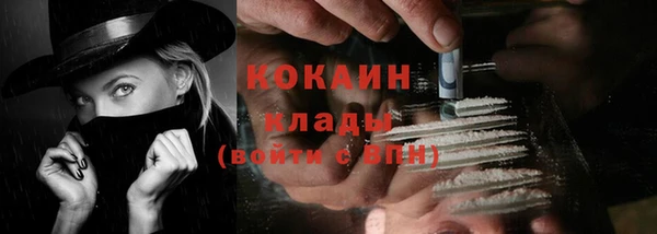 стафф Каменка