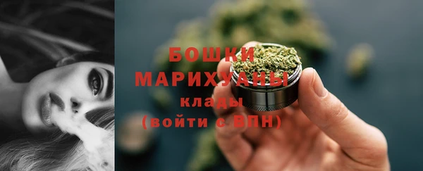 стафф Каменка