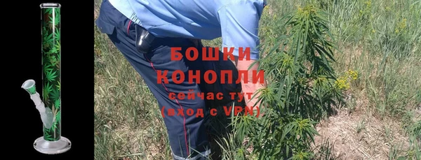 соль ск Каменногорск