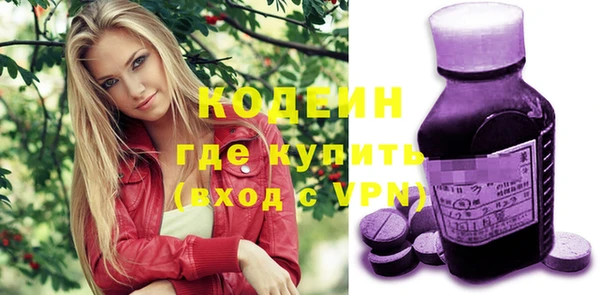 стафф Каменка