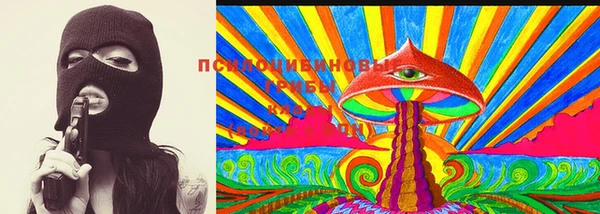 стафф Каменка