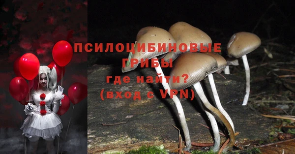 соль ск Каменногорск
