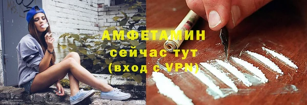 стафф Каменка