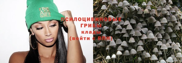 соль ск Каменногорск