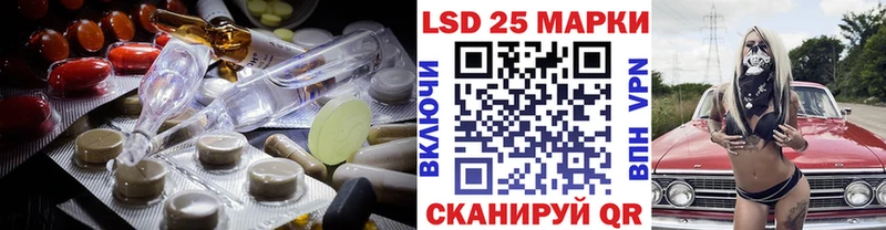 Купить закладки  Елизово  Лсд 25 экстази кислота 