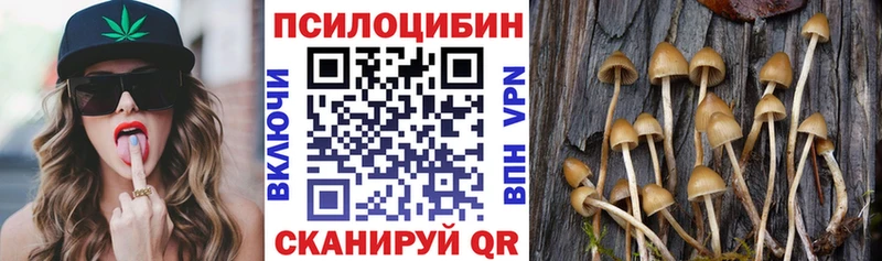 Купить где  Елизово  Галлюциногенные грибы Cubensis 